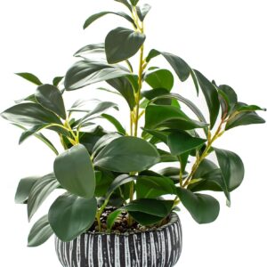 AlphaAcc Artificial Plants Decor Greenery Fake Succulents Indoor Potted Fake Plant with Rustic Black Clay Planter for Farmhouse Room Bathroom Bedroom