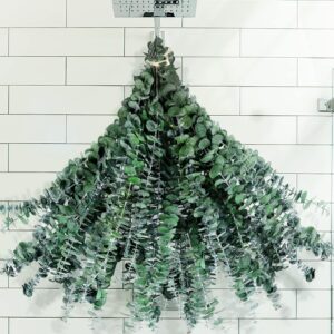 30 Pcs Dried Preserved Eucalyptus Stems Shower Bundle, 9oz 17" Natural Fresh